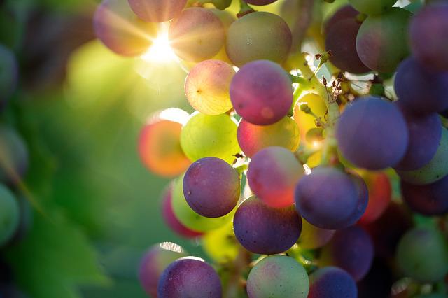 5-good-foods-for-diabetics