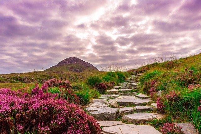 top-5-loans-in-ireland-you-should-definitely-consider