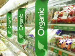 health-food-stores-5-facts-behind-the-organic-industry
